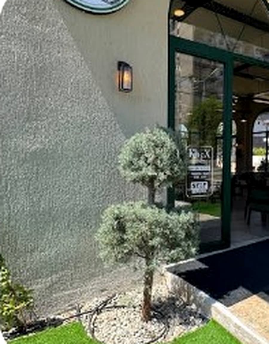 KnoX Coffee giriş alanı